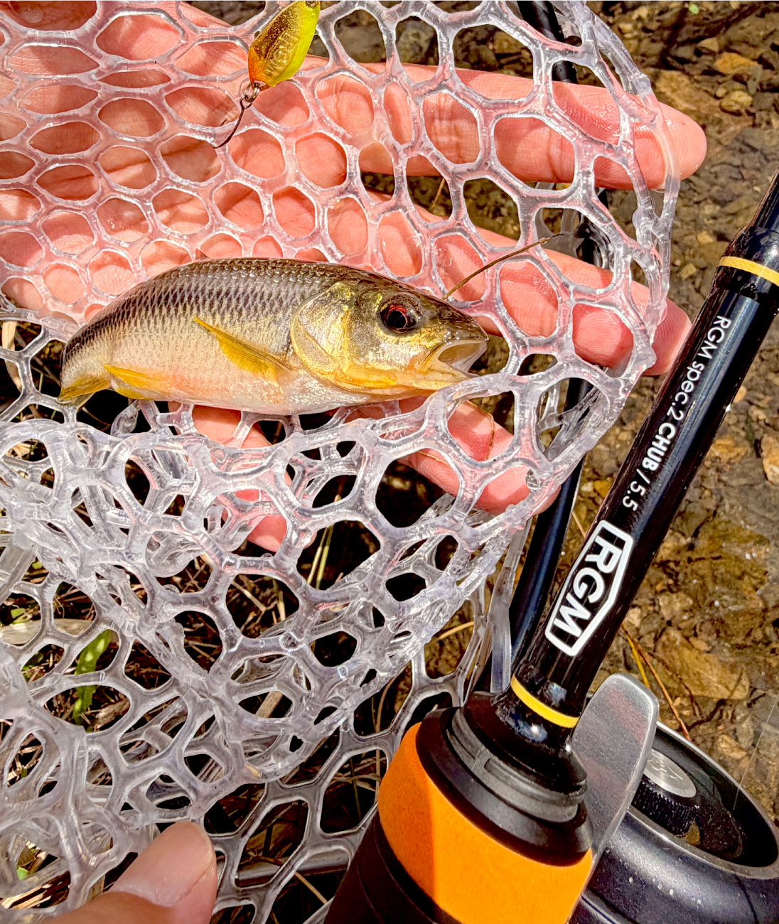 RGM spec.2 CHUB / 5.5